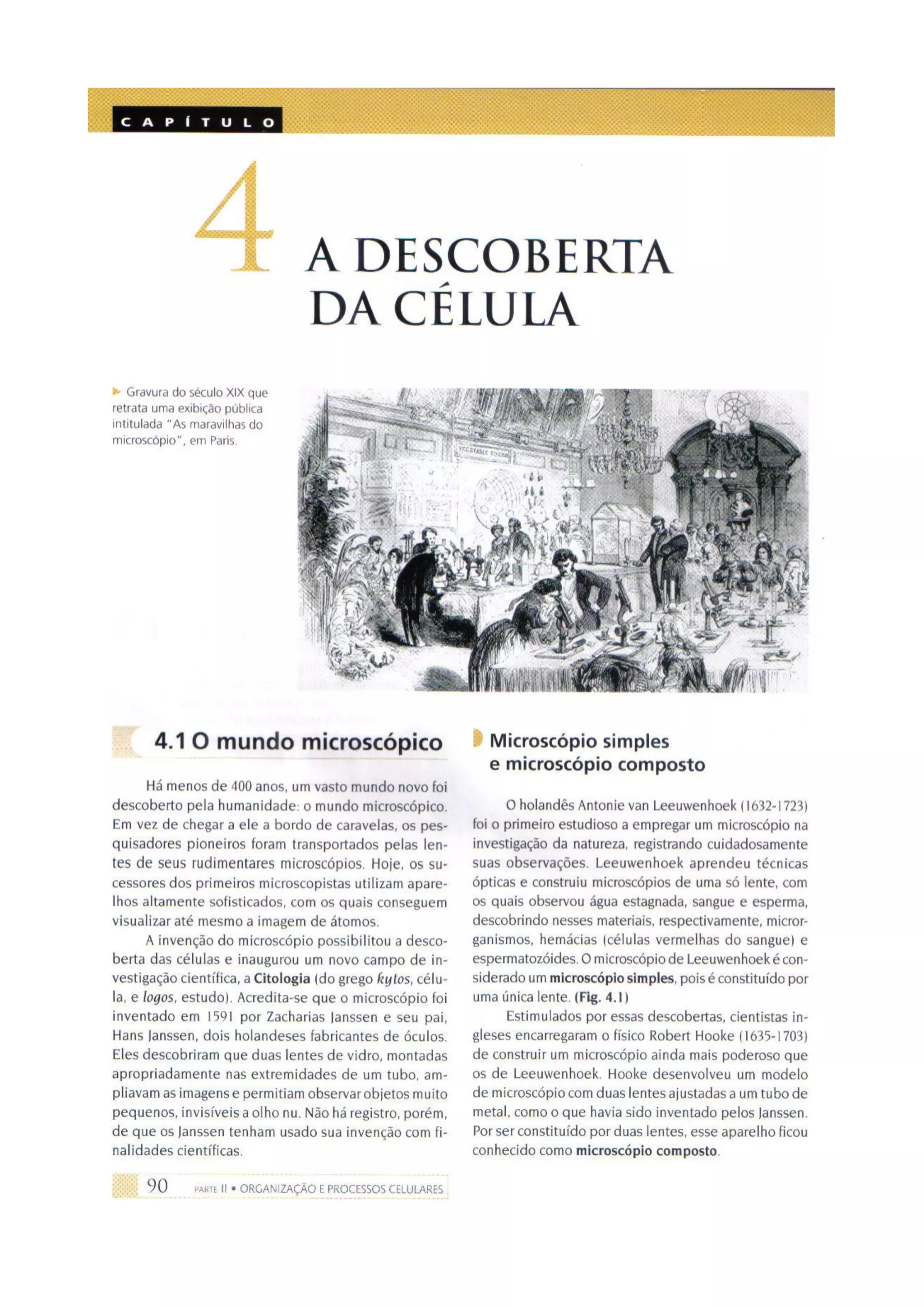 Biologia das células volume 1 (amabis e martho)