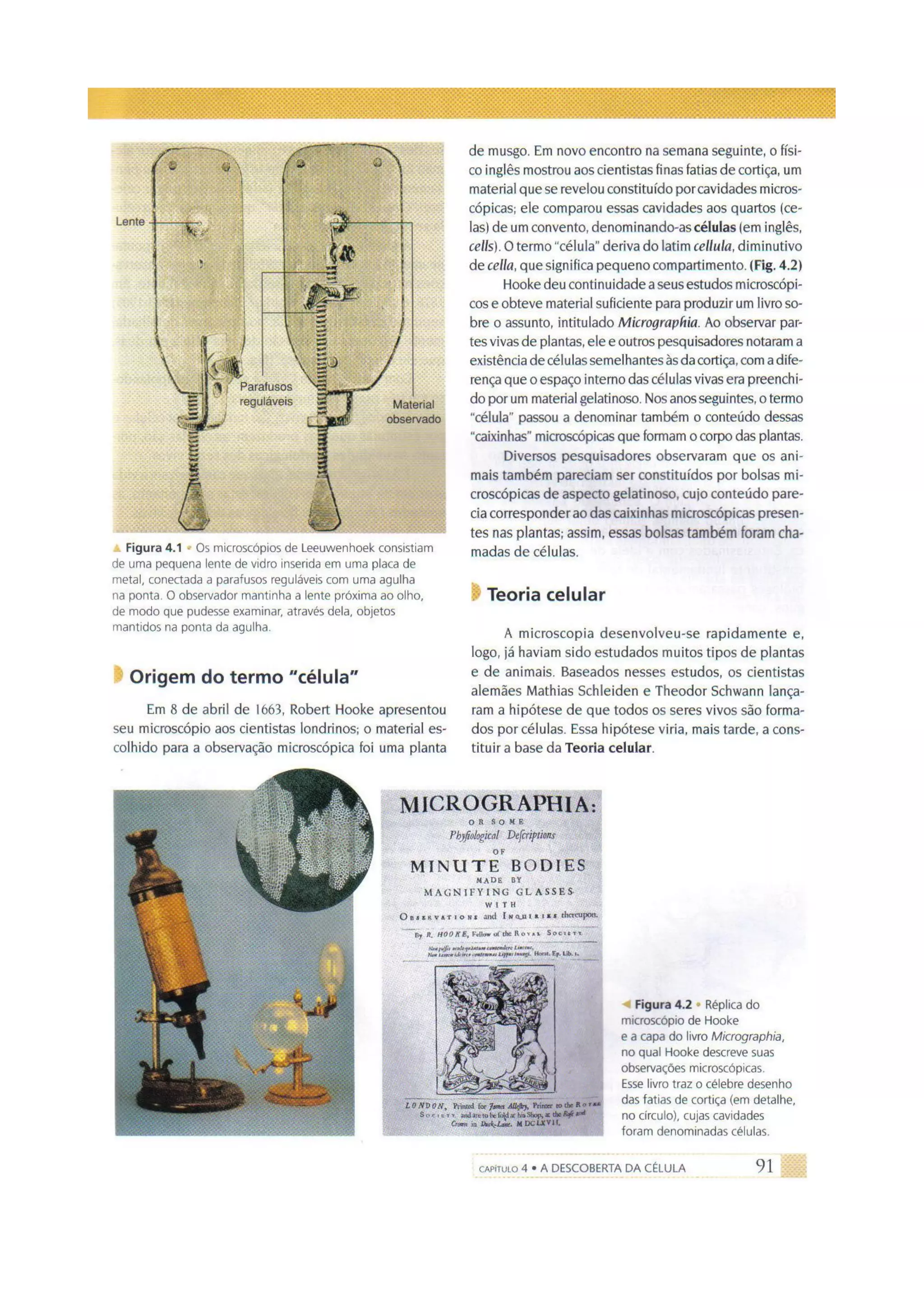 Biologia das células volume 1 (amabis e martho)