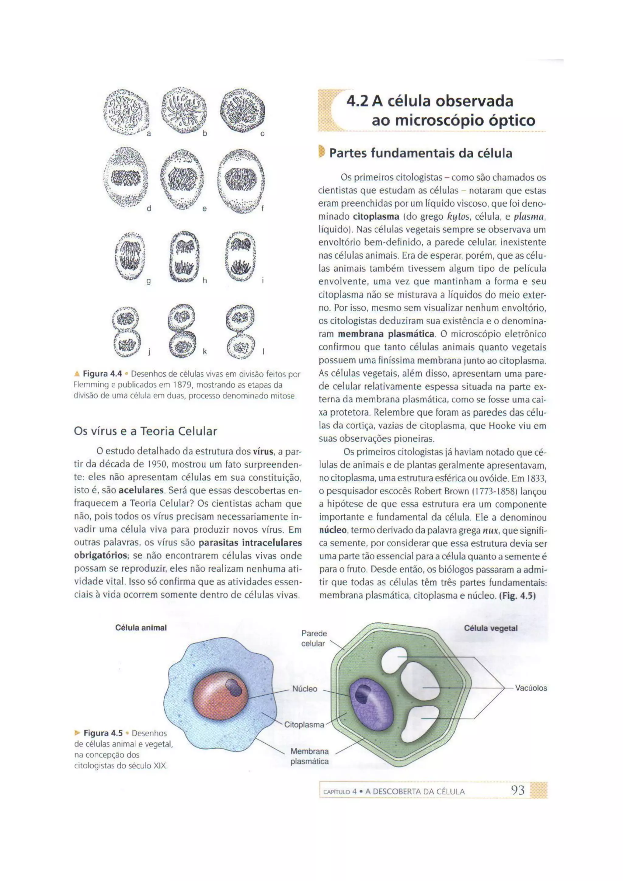 Biologia das células volume 1 (amabis e martho)