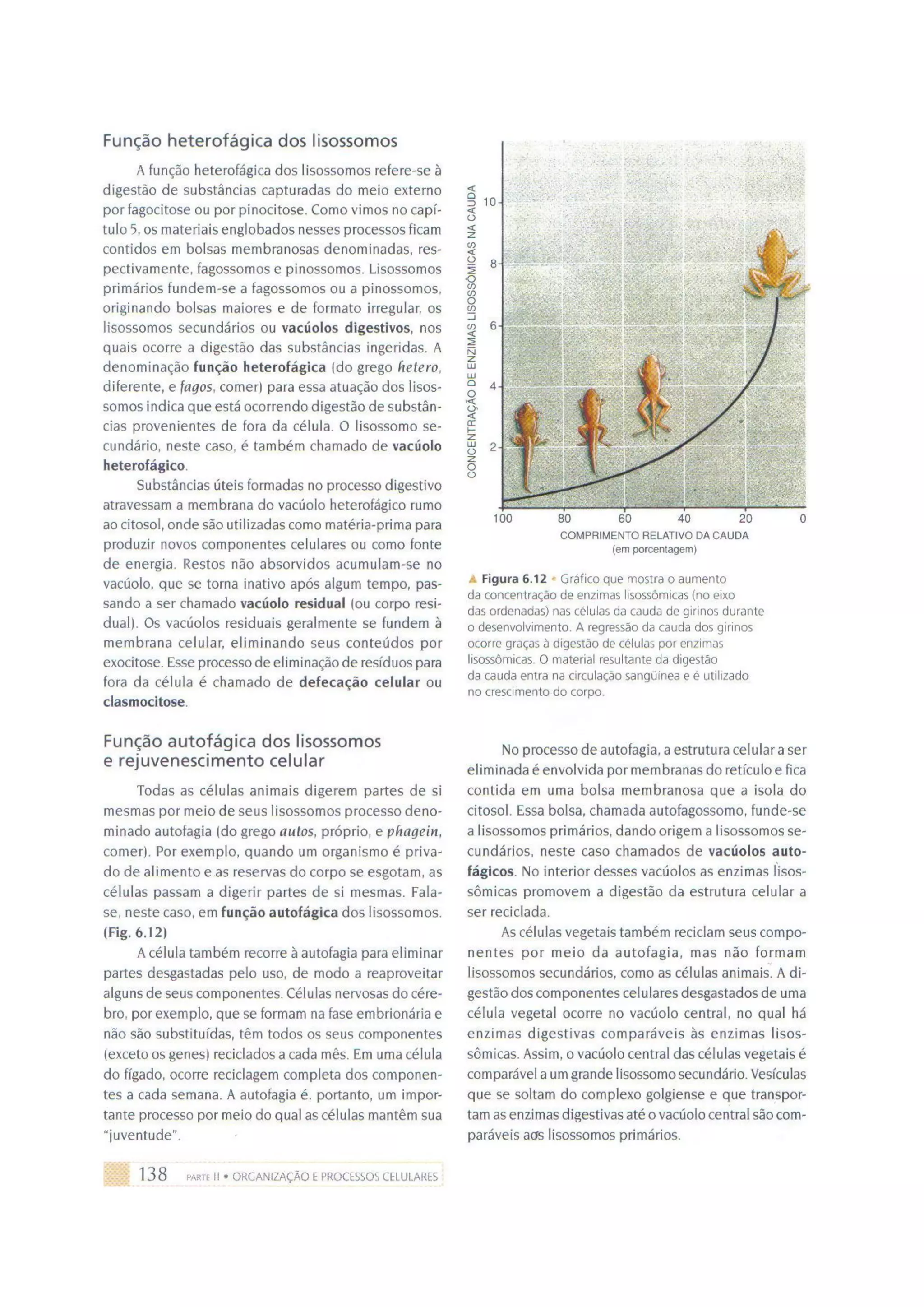 Biologia das células volume 1 (amabis e martho)