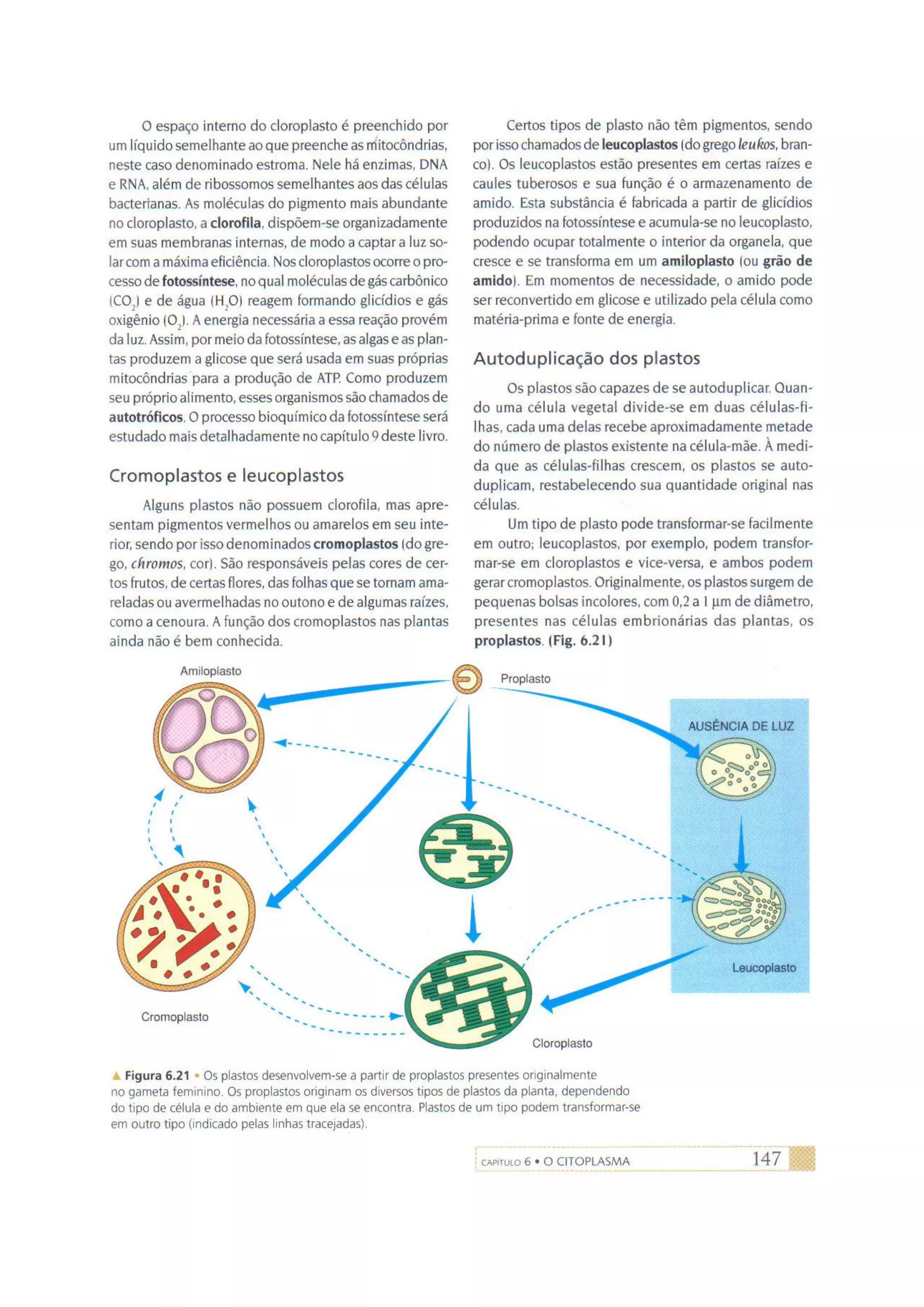 Biologia das células volume 1 (amabis e martho)