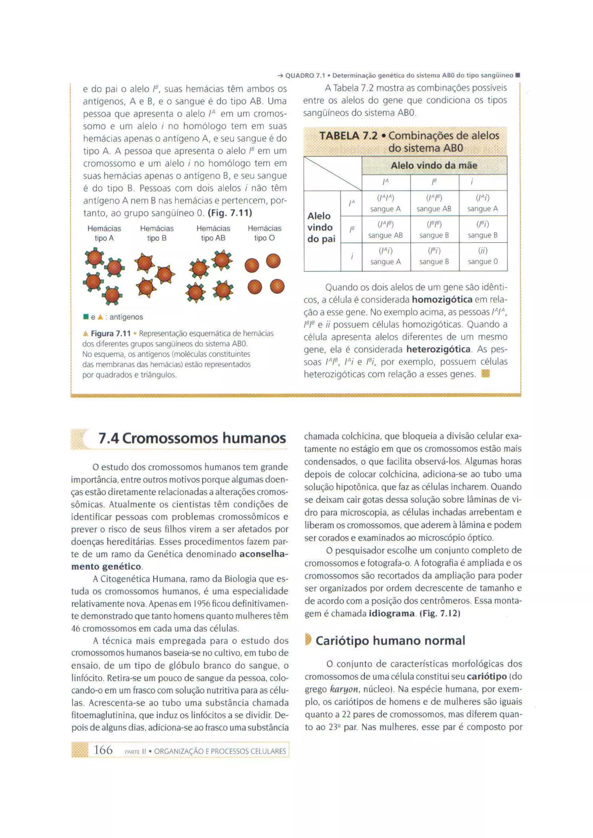 Biologia das células volume 1 (amabis e martho)