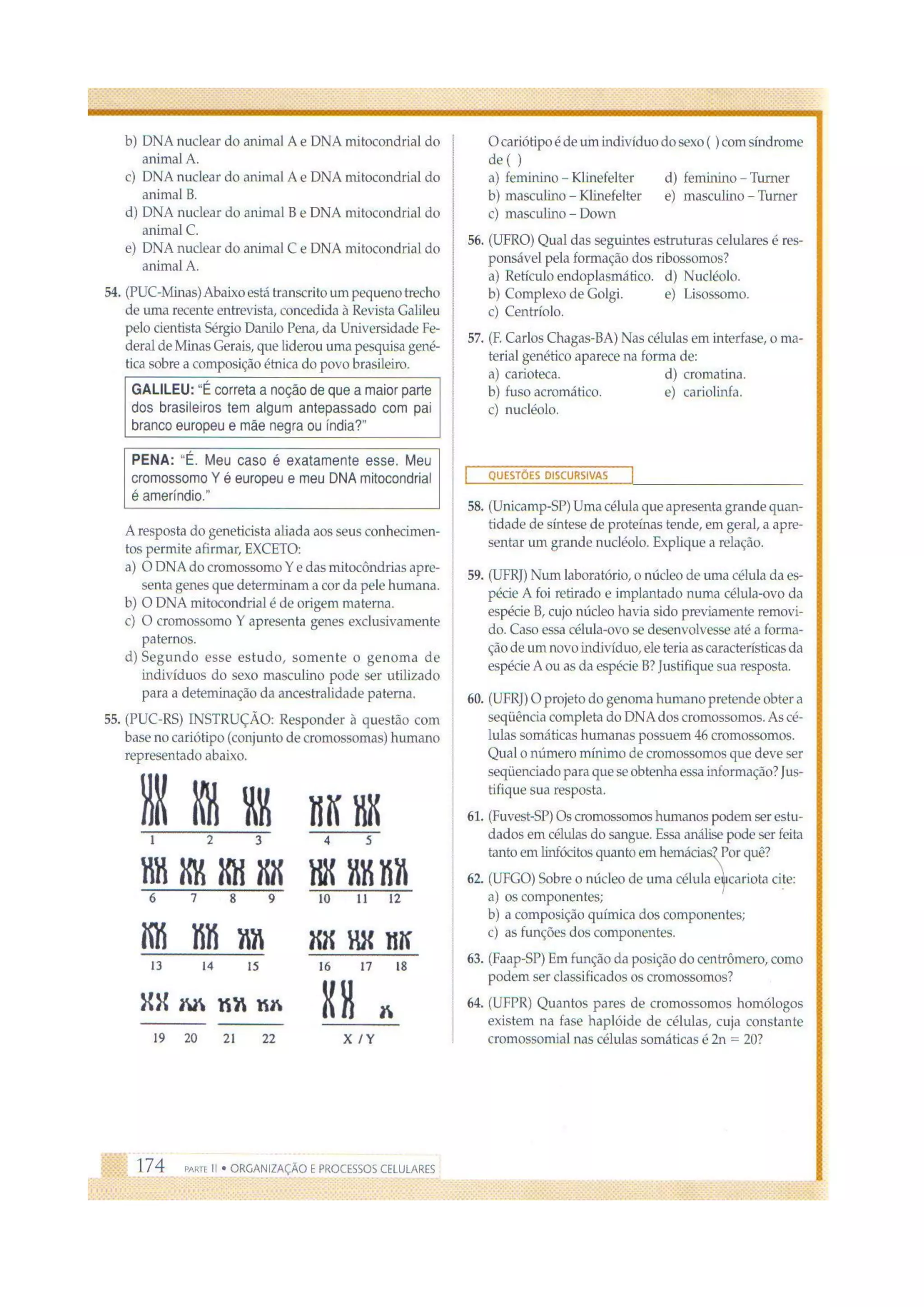 Biologia das células volume 1 (amabis e martho)
