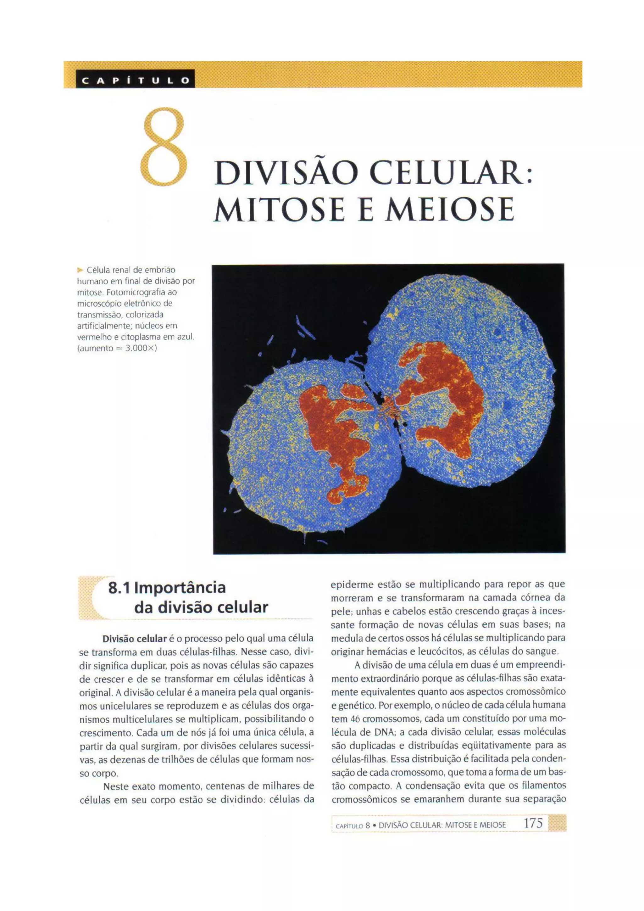Biologia das células volume 1 (amabis e martho)