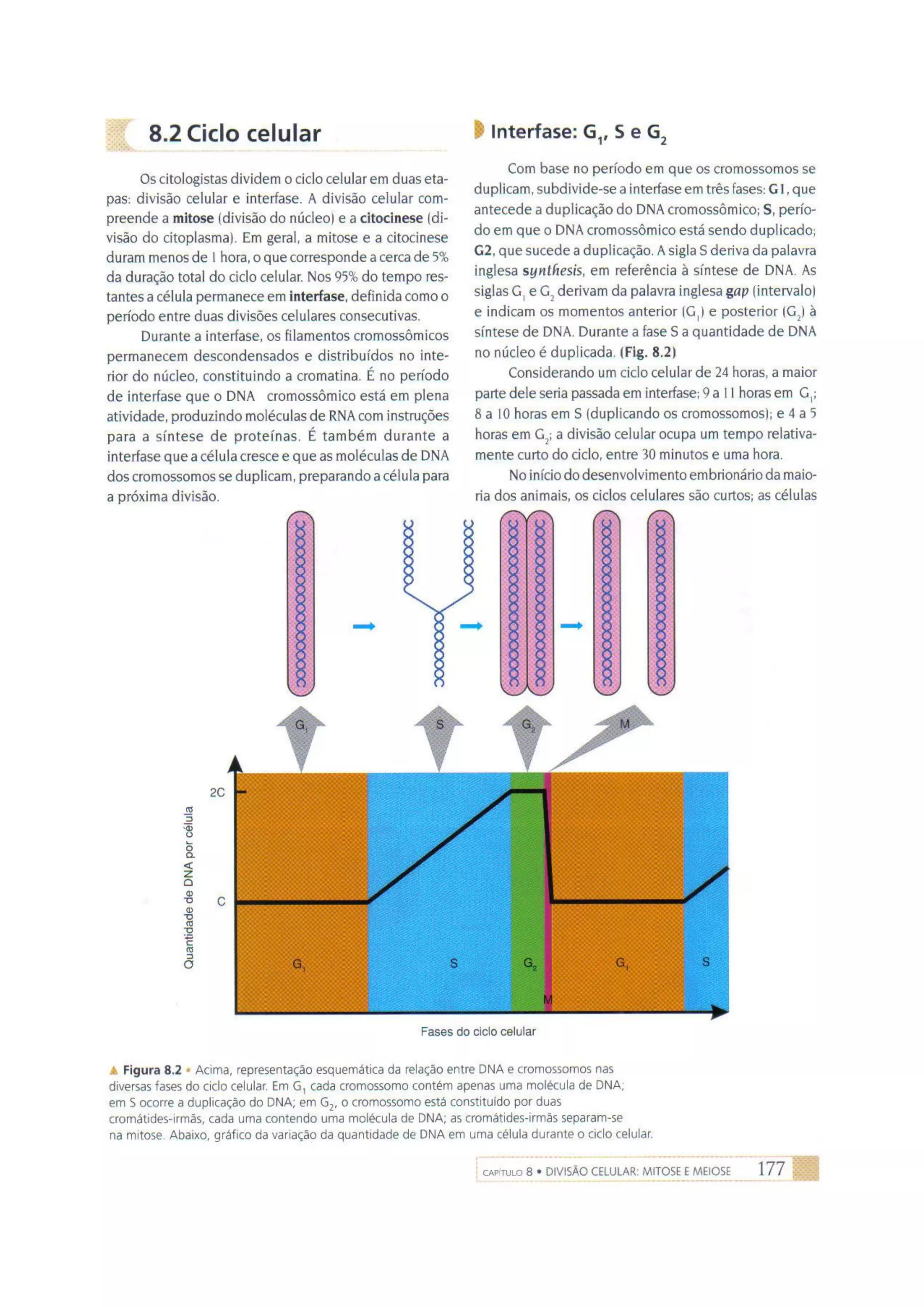 Biologia das células volume 1 (amabis e martho)