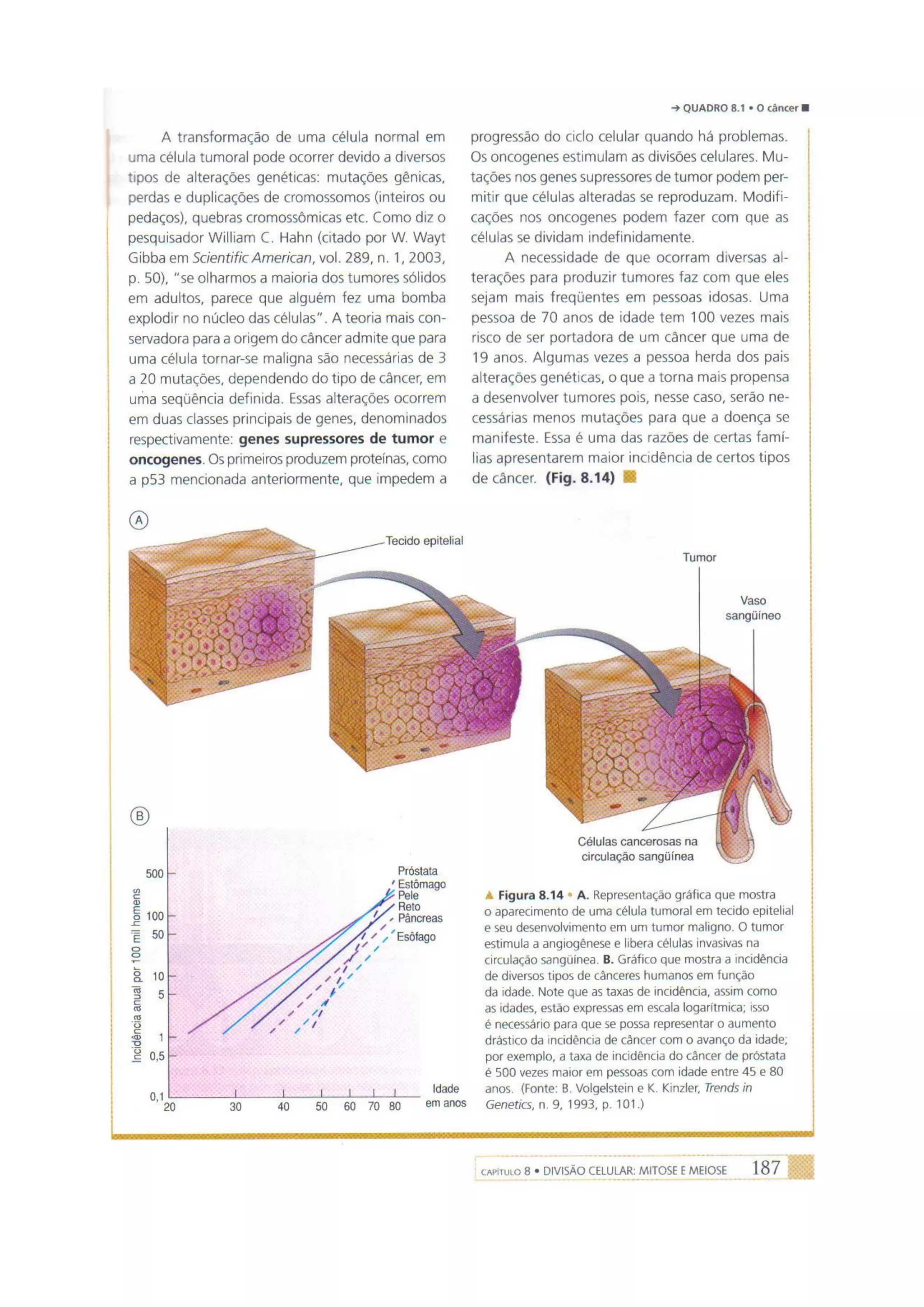 Biologia das células volume 1 (amabis e martho)