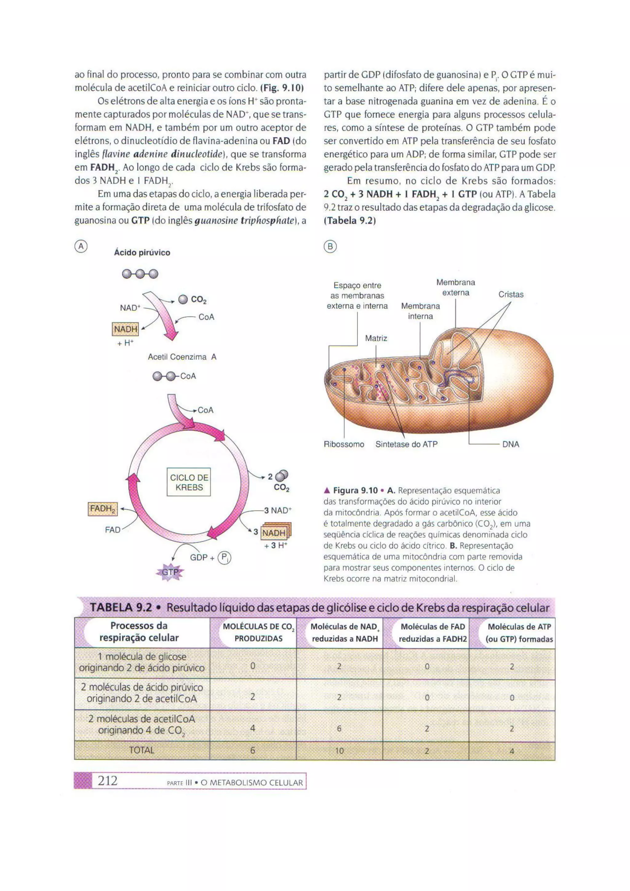 Biologia das células volume 1 (amabis e martho)