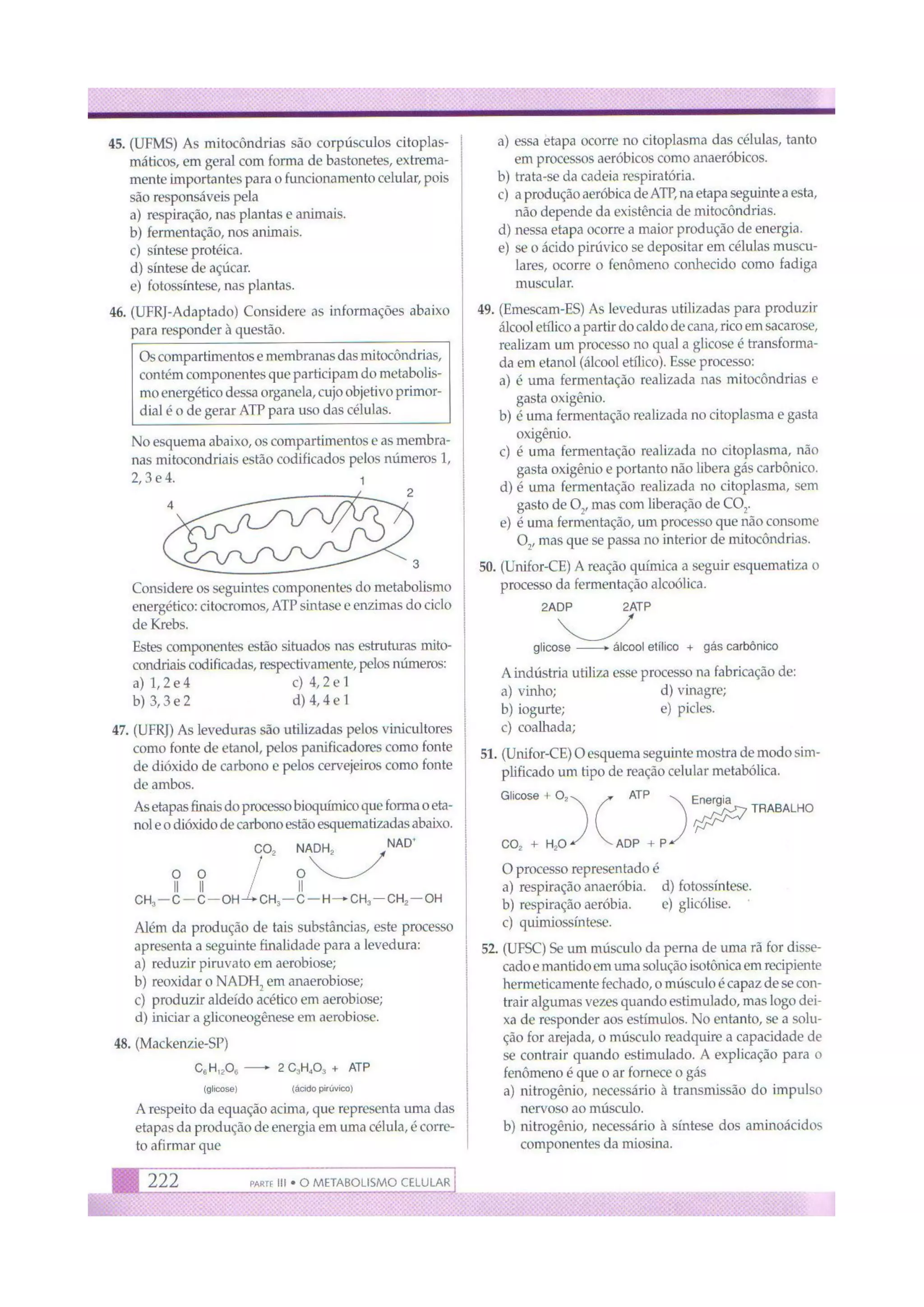 Biologia das células volume 1 (amabis e martho)