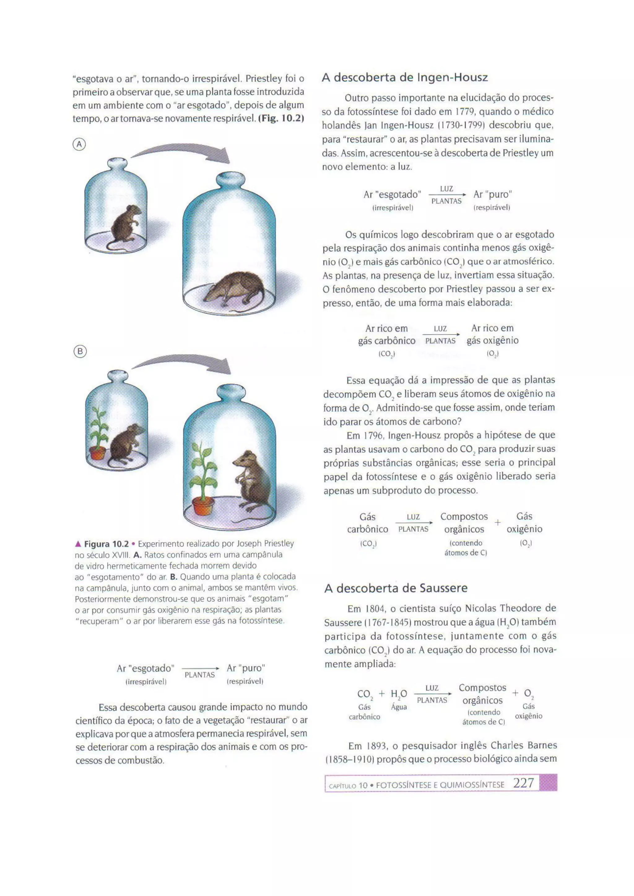 Biologia das células volume 1 (amabis e martho)