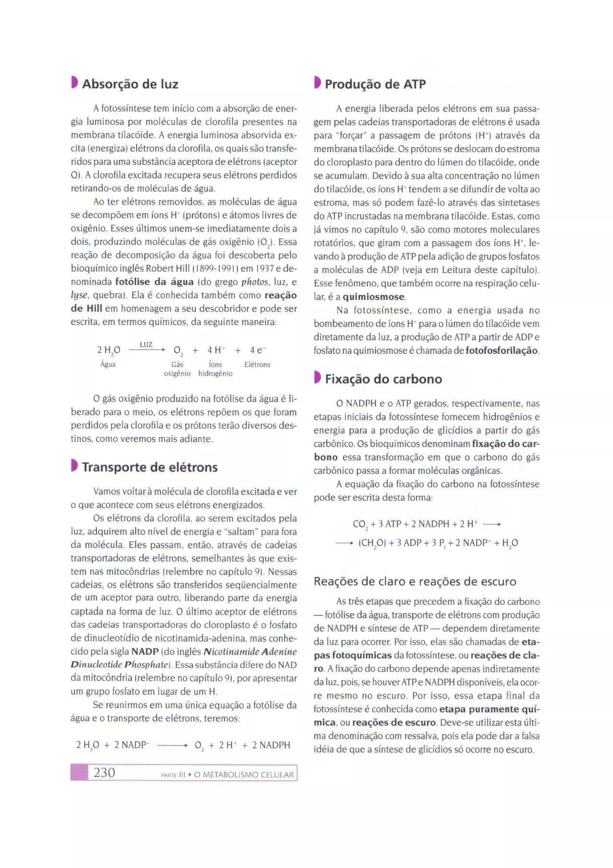 Biologia das células volume 1 (amabis e martho)