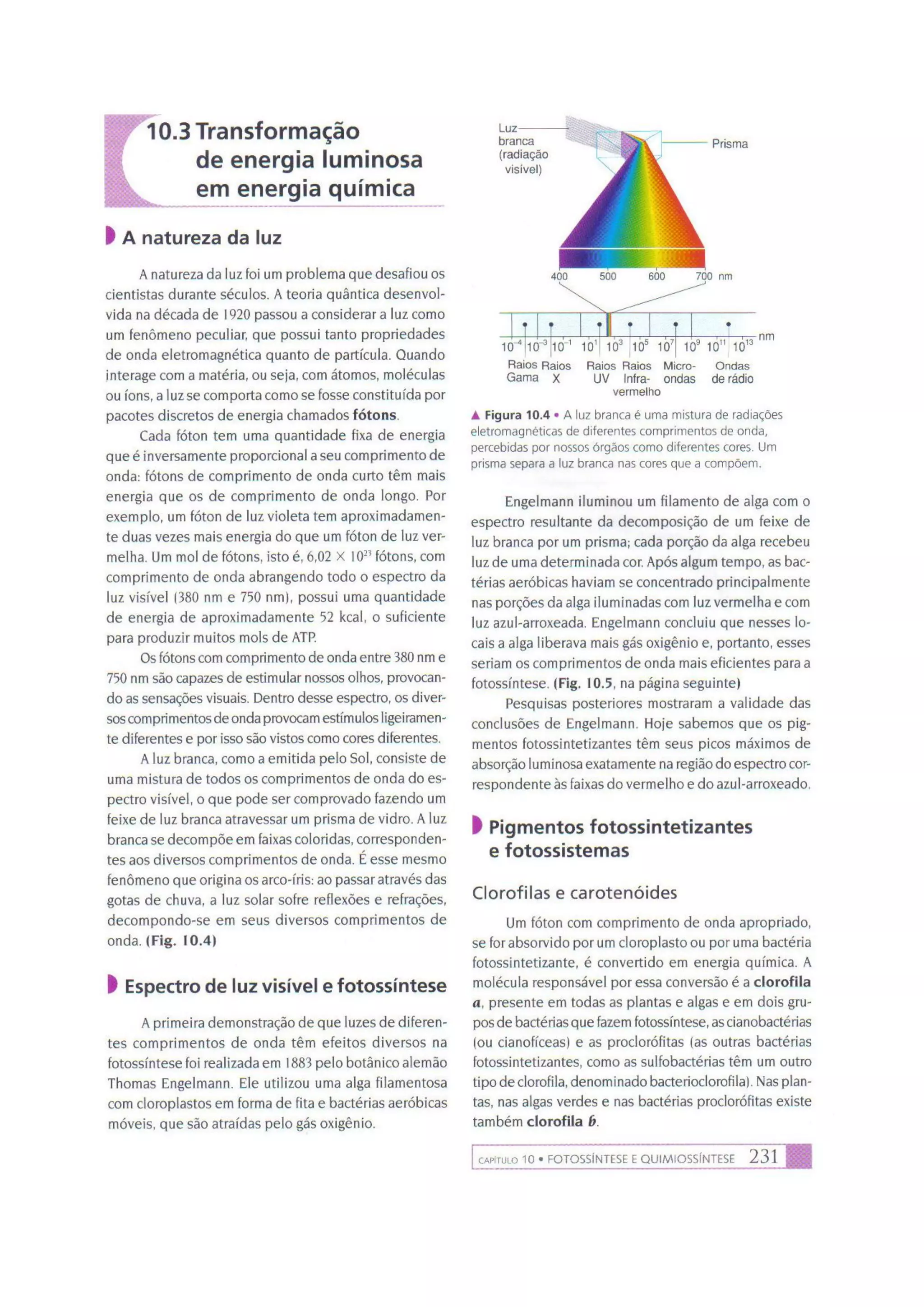 Biologia das células volume 1 (amabis e martho)