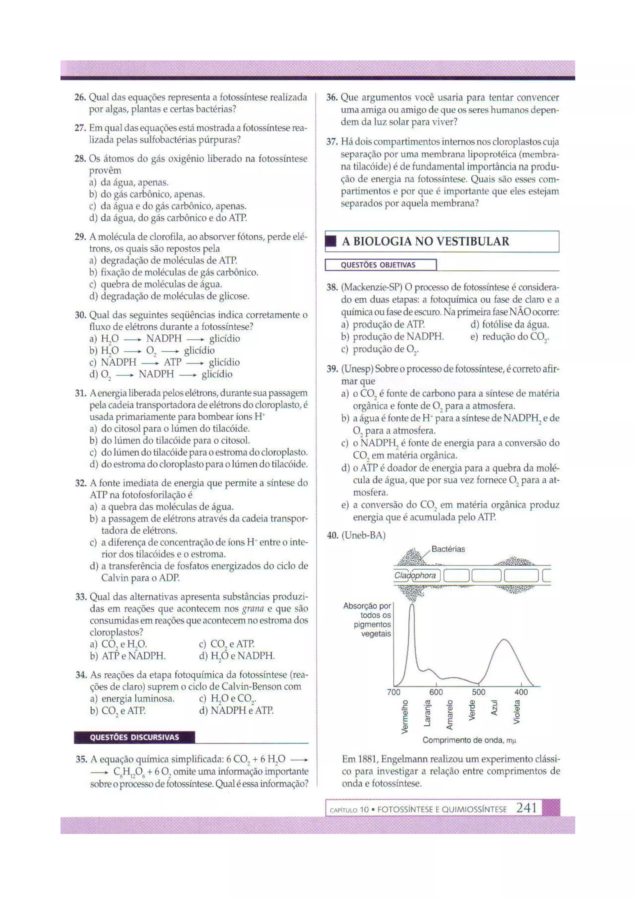 Biologia das células volume 1 (amabis e martho)