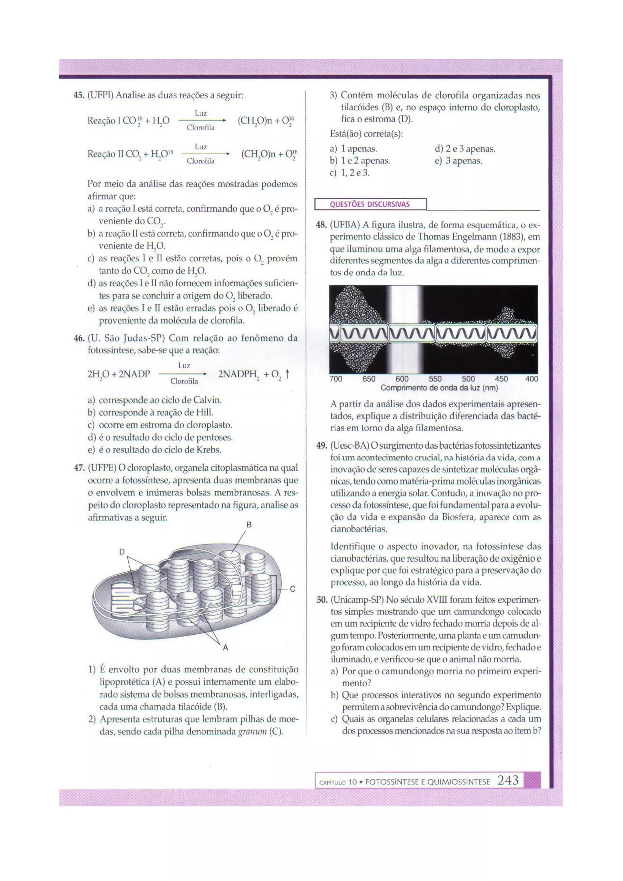 Biologia das células volume 1 (amabis e martho)