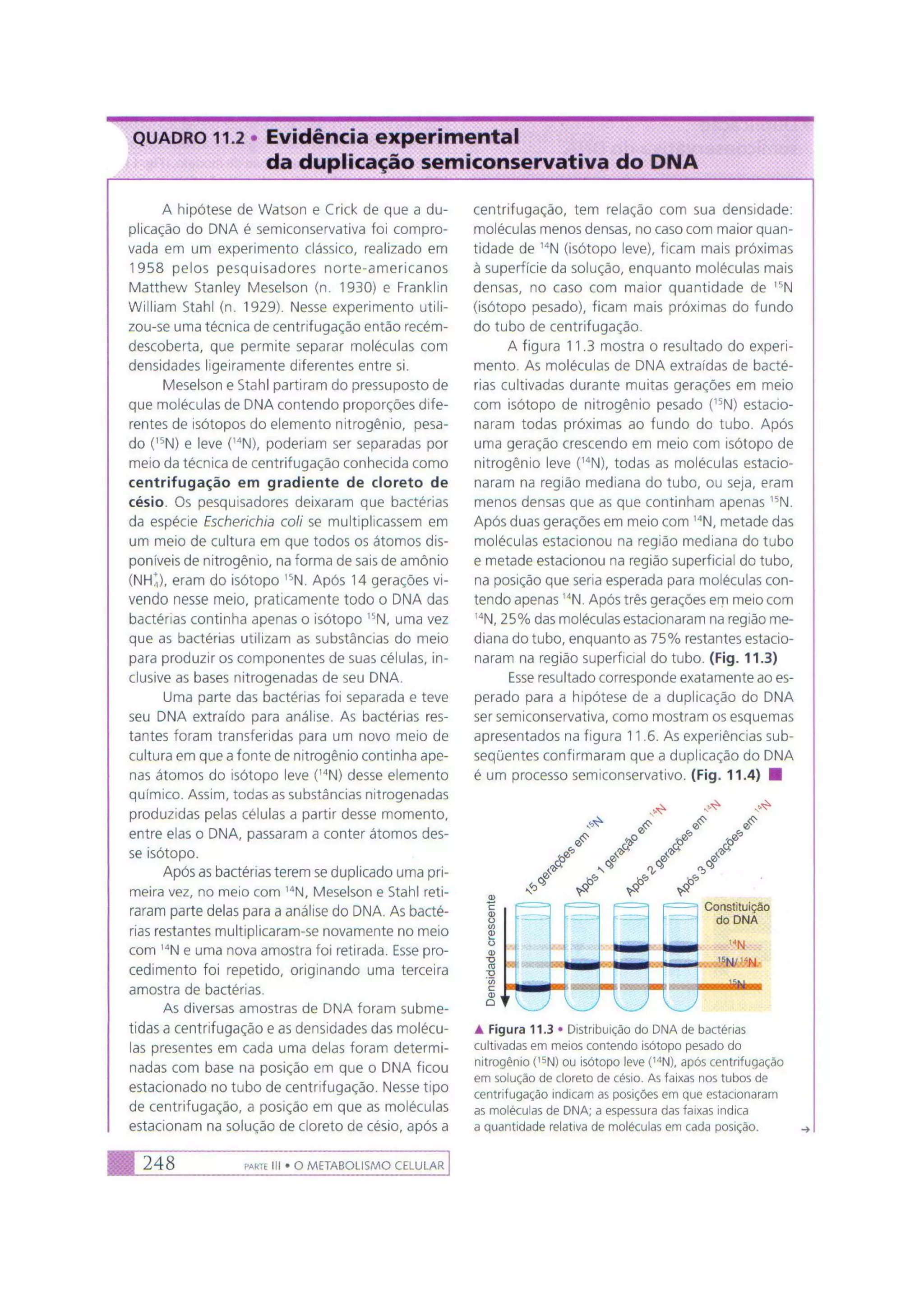 Biologia das células volume 1 (amabis e martho)