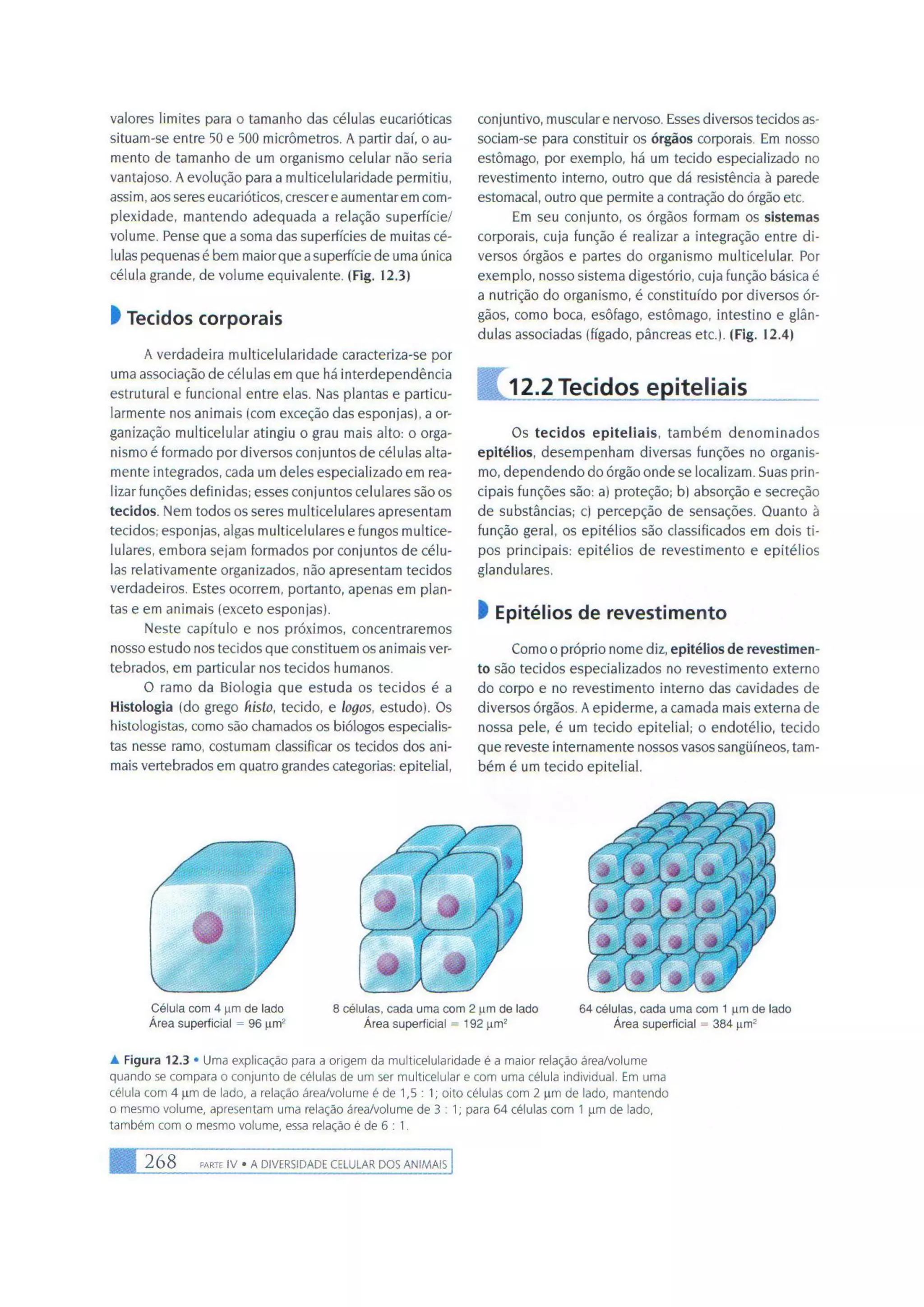 Biologia das células volume 1 (amabis e martho)