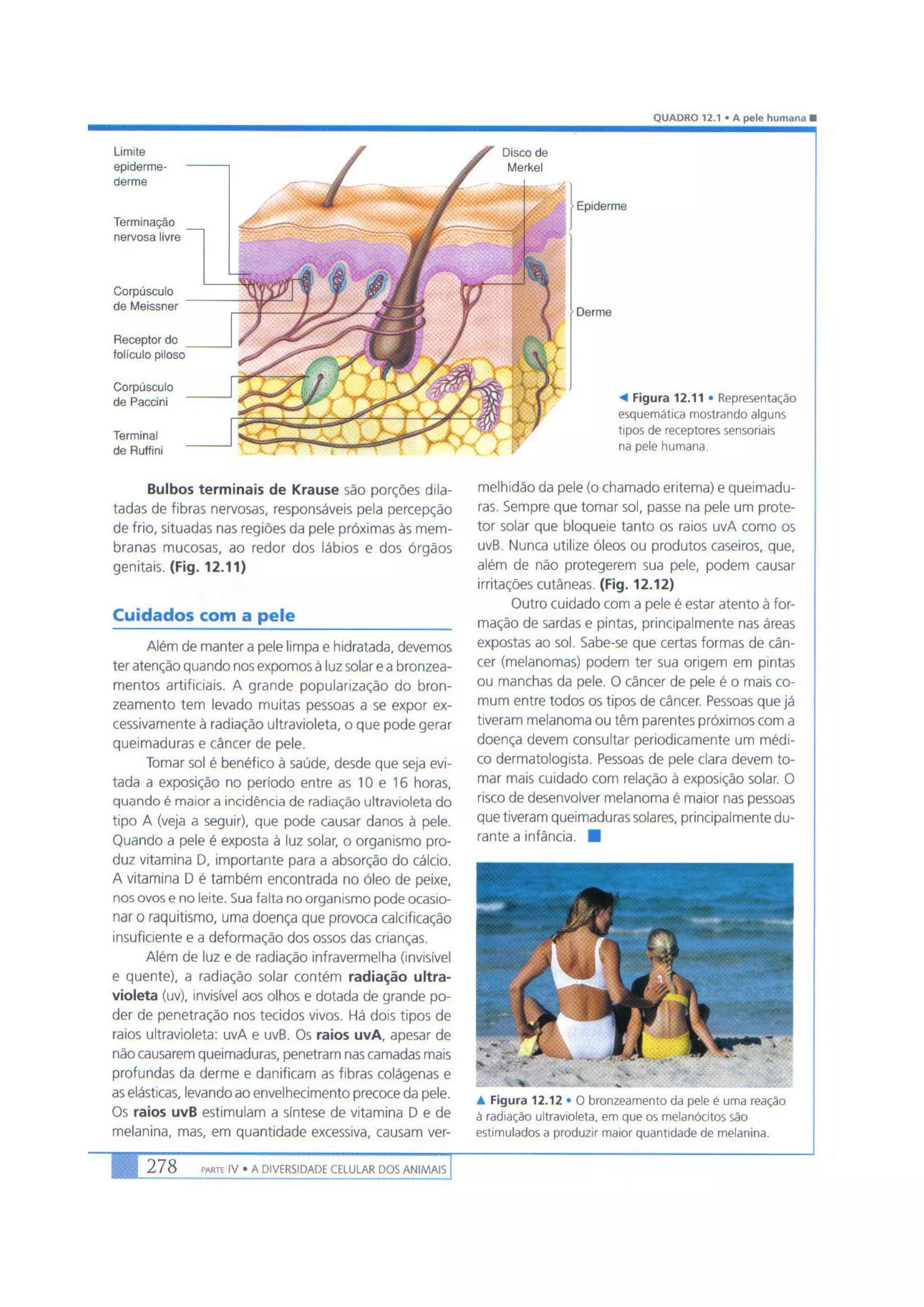 Biologia das células volume 1 (amabis e martho)