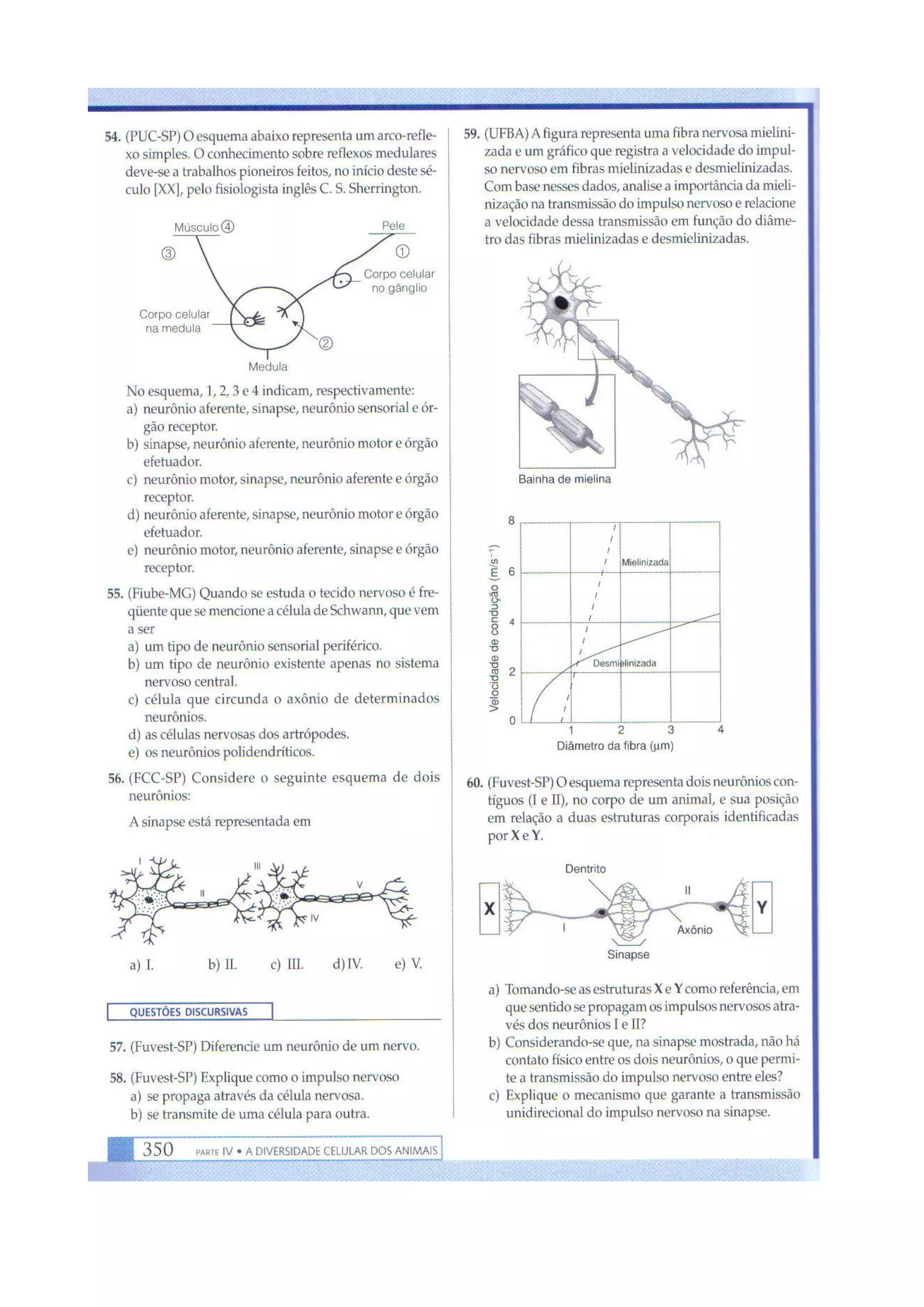 Biologia das células volume 1 (amabis e martho)