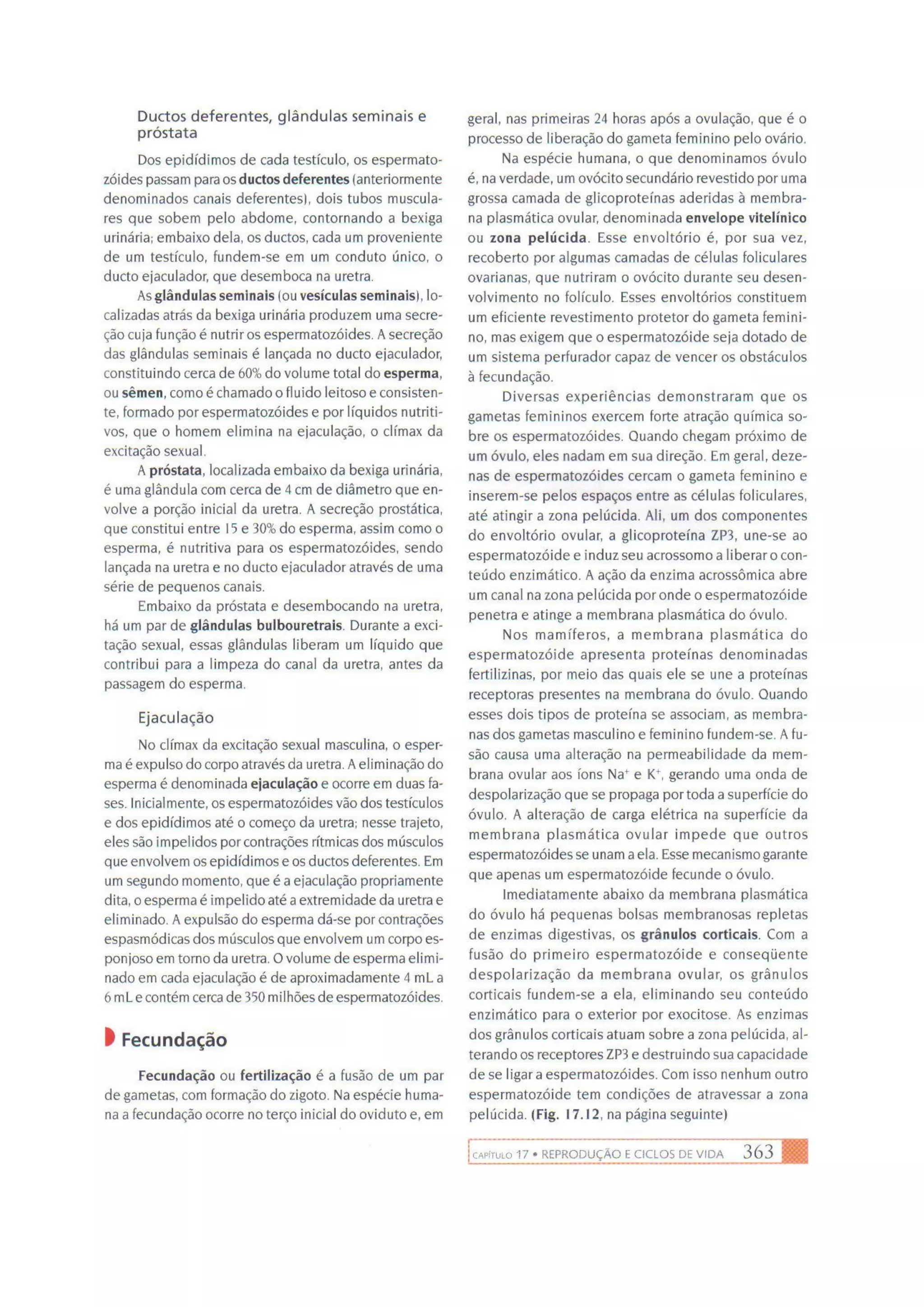 Biologia das células volume 1 (amabis e martho)