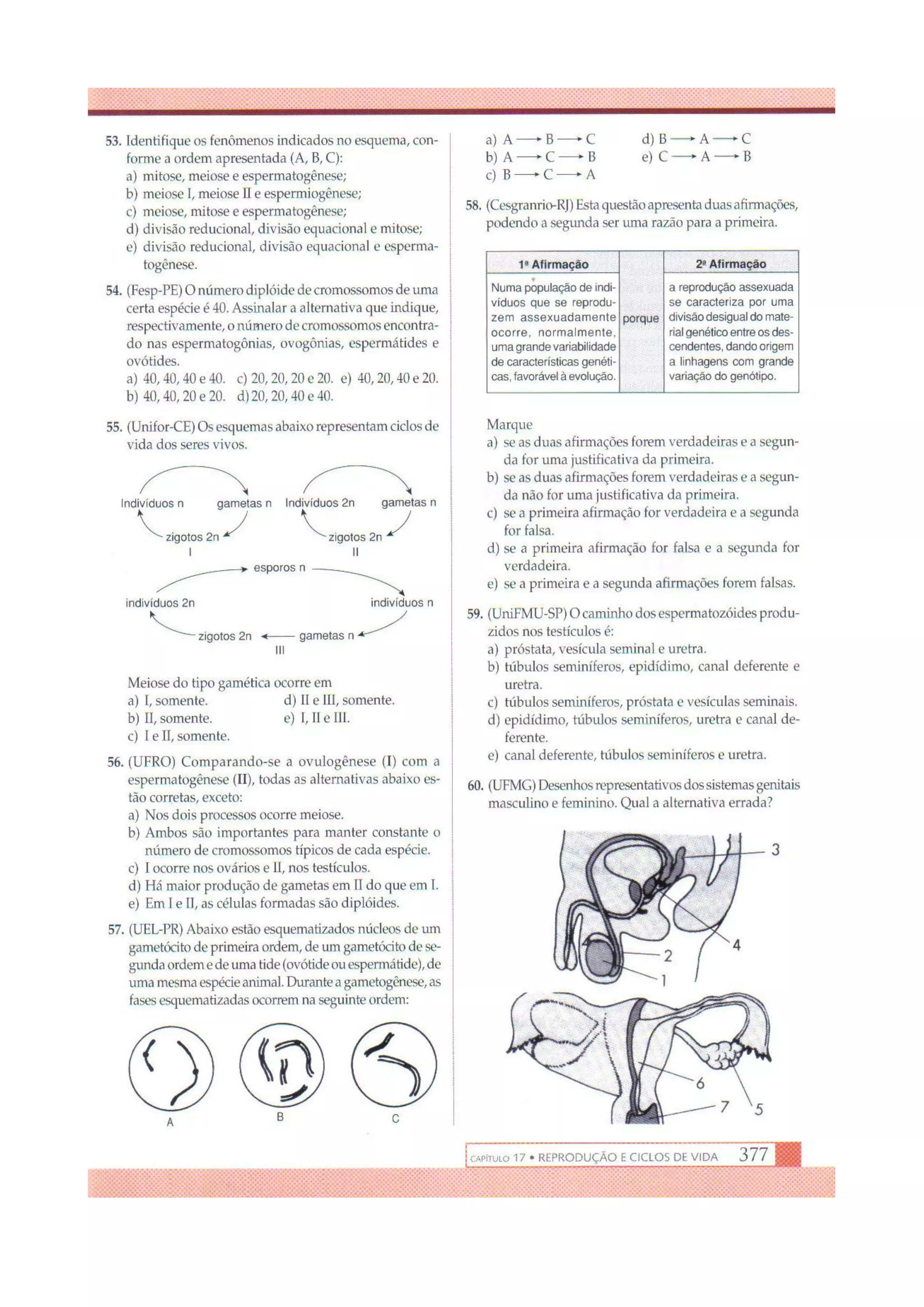 Biologia das células volume 1 (amabis e martho)