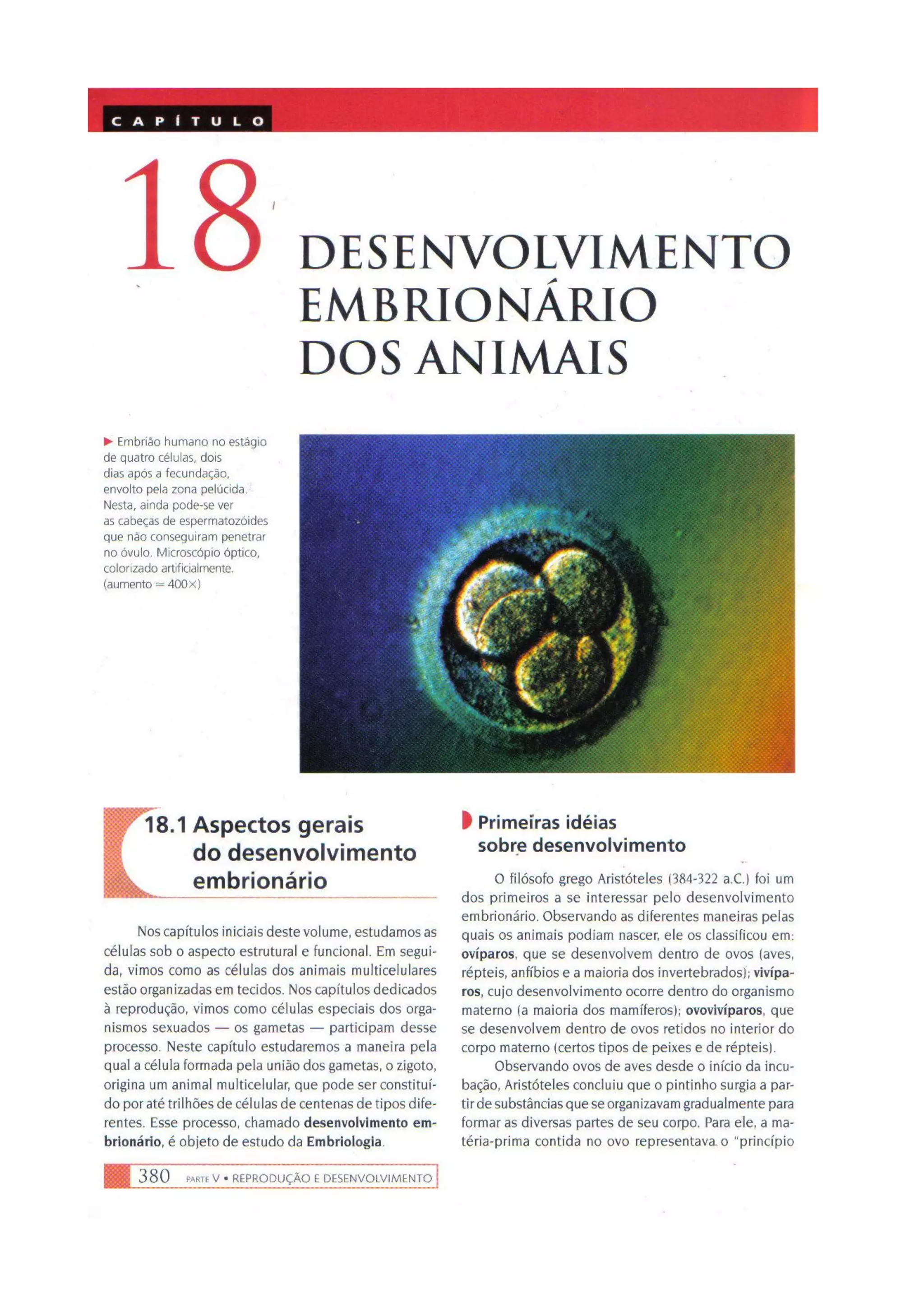 Biologia das células volume 1 (amabis e martho)