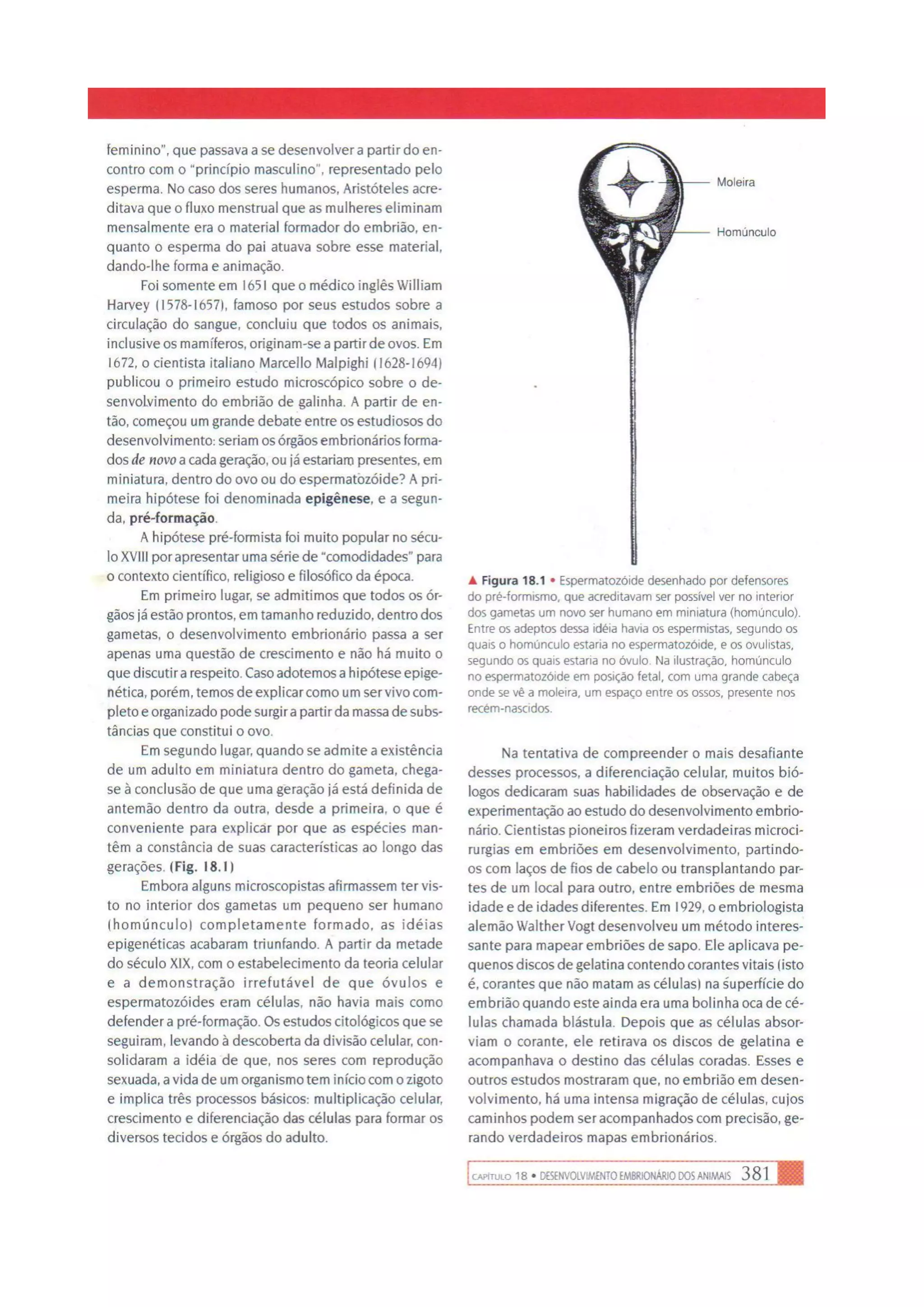 Biologia das células volume 1 (amabis e martho)