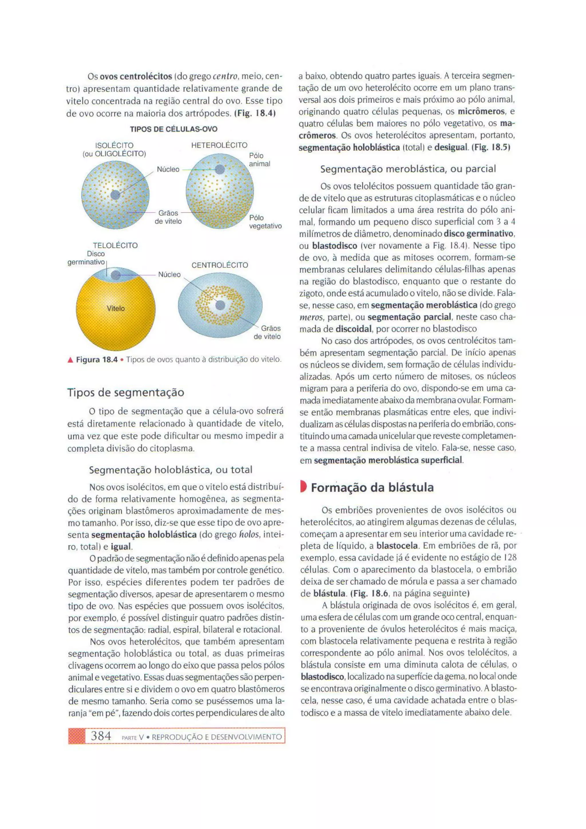 Biologia das células volume 1 (amabis e martho)
