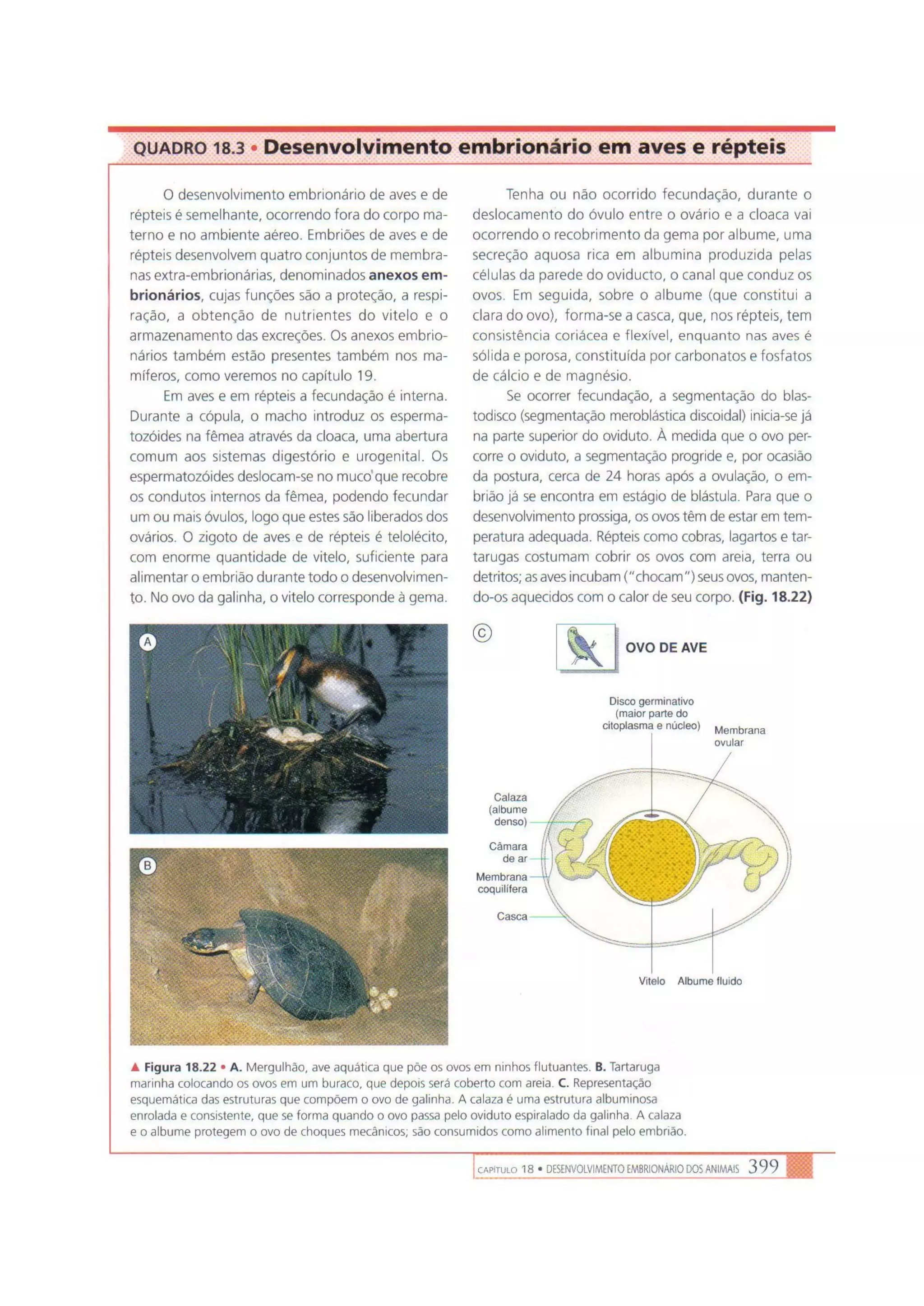 Biologia das células volume 1 (amabis e martho)