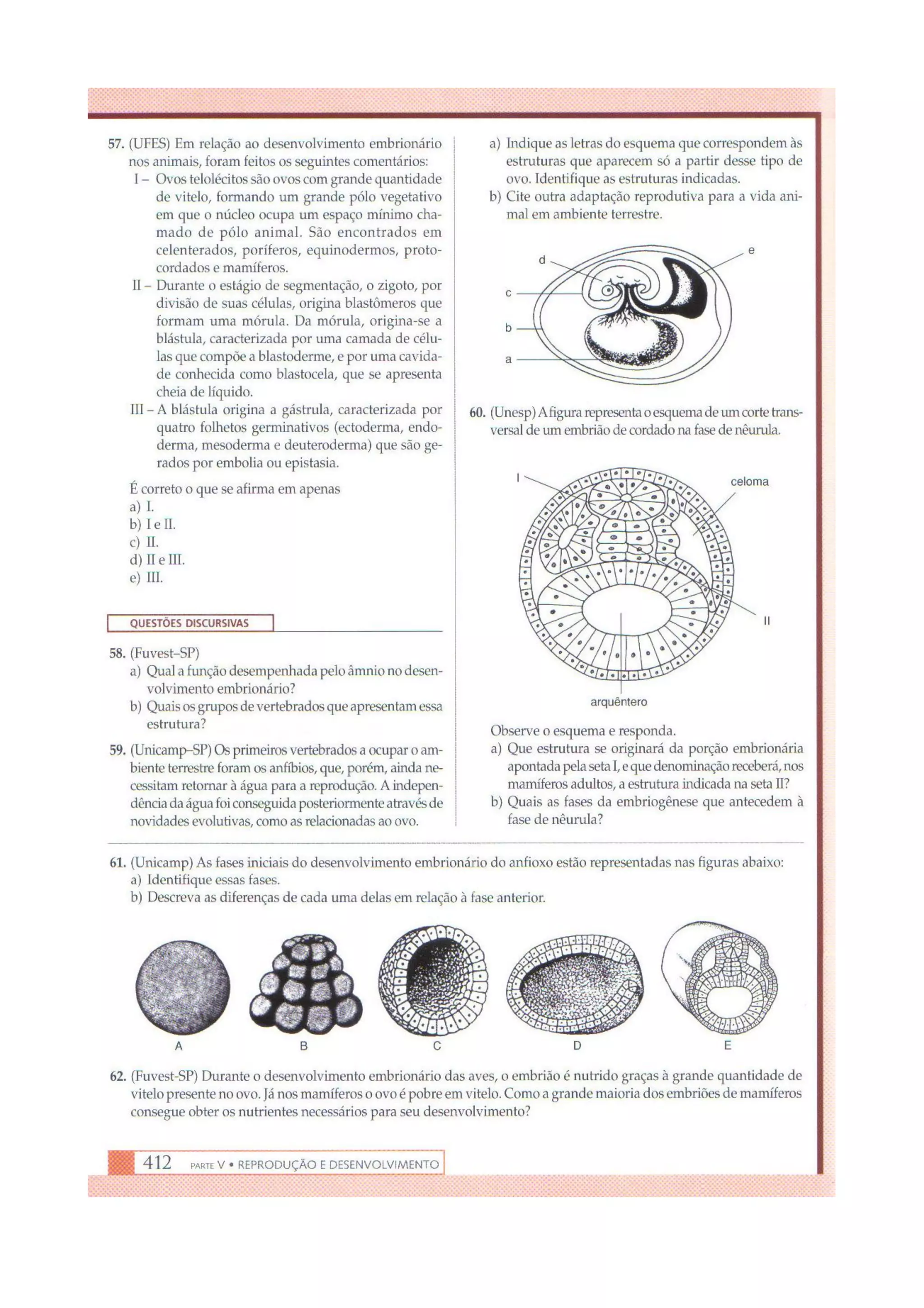 Biologia das células volume 1 (amabis e martho)