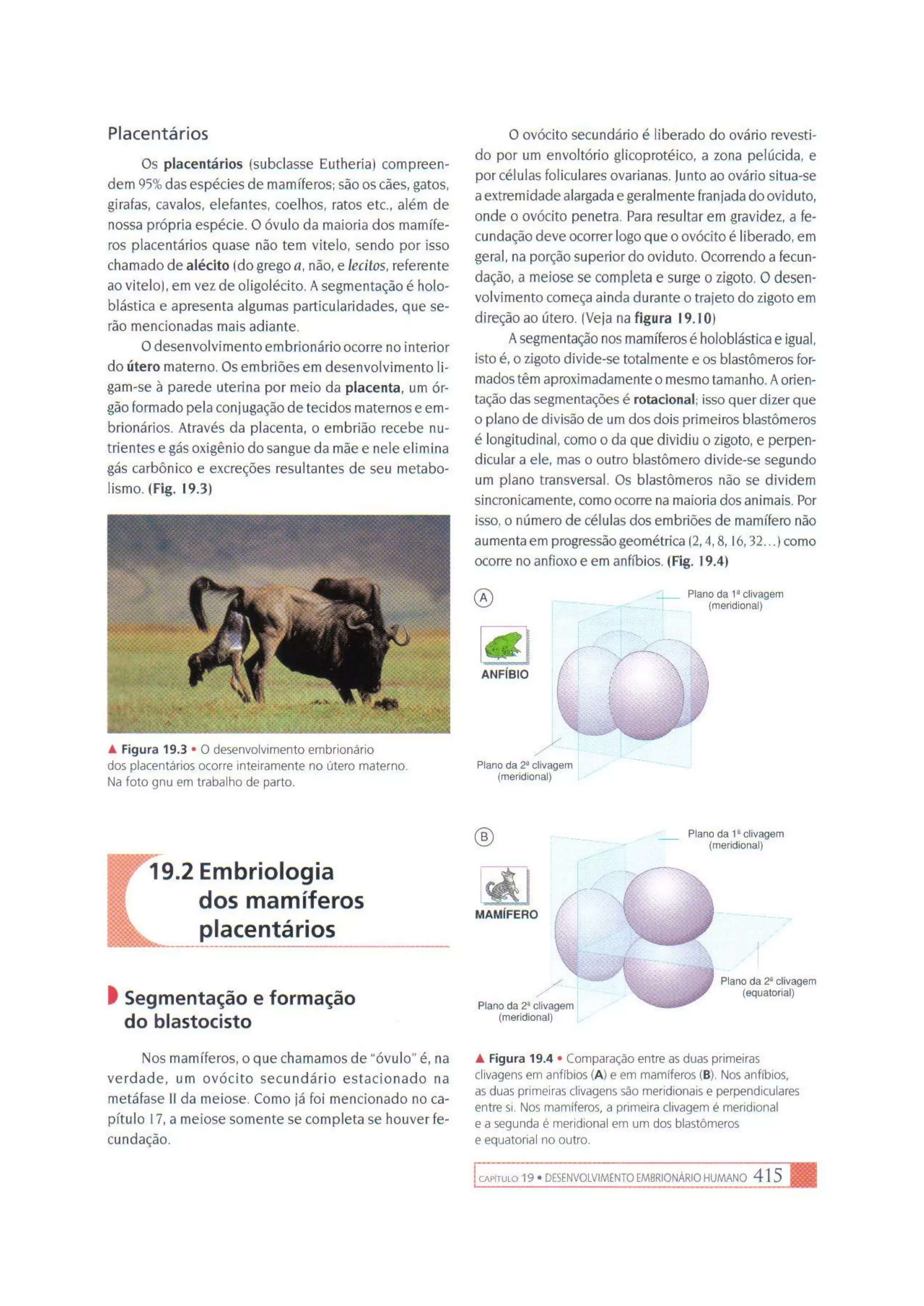 Biologia das células volume 1 (amabis e martho)