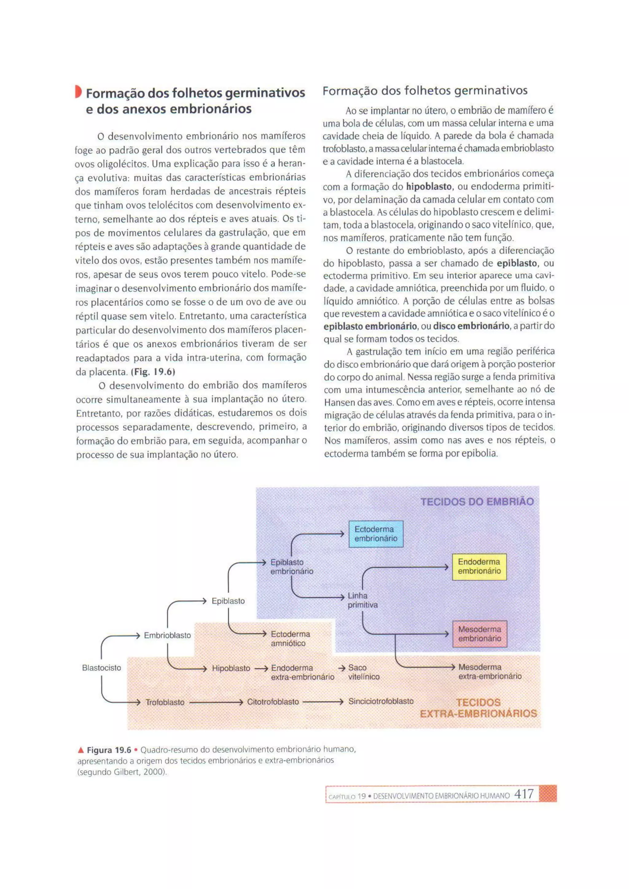 Biologia das células volume 1 (amabis e martho)