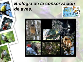 Biología de la conservación
de aves.
 