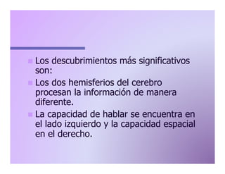 n  Los

descubrimientos más significativos
son:
n  Los dos hemisferios del cerebro
procesan la información de manera
diferente.
n  La capacidad de hablar se encuentra en
el lado izquierdo y la capacidad espacial
en el derecho.

 