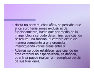 Hasta no hace muchos años, se pensaba que
el cerebro tenía zonas exclusivas de
funcionamiento, hasta que por medio de la
imagenología se pudo determinar que cuando
se realiza una función, el cerebro actúa de
manera semejante a una orquesta
interactuando varias áreas entre sí.
n  Además se pudo establecer que cuando un
área cerebral no especializada, es dañada,
otra área puede realizar un reemplazo parcial
de sus funciones.
n 

 