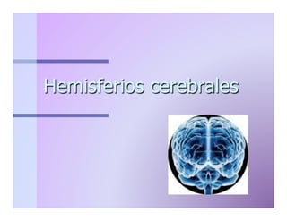 Hemisferios cerebrales

 
