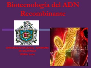 Biotecnología del ADN
Recombinante
UNIVERSIDAD NACIONAL AUTONOMA
DE NICARAGUA
UNAN- León
 