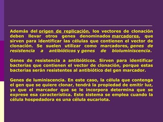 Además del origen de replicación, los vectores de clonación
deben llevar otros genes denominados marcadores, que
sirven para identificar las células que contienen el vector de
clonación. Se suelen utilizar como marcadores, genes de
resistencia a antibióticos y genes de bioluminiscencia.
Genes de resistencia a antibióticos. Sirven para identificar
bacterias que contienen el vector de clonación, porque estas
bacterias serán resistentes al antibiótico del gen marcador.
Genes de luminiscencia. En este caso, la célula que contenga
el gen que se quiere clonar, tendrá la propiedad de emitir luz,
ya que el marcador que se le incorpora determina que se
exprese esa característica. Este sistema se emplea cuando la
célula hospedadora es una célula eucariota.
 