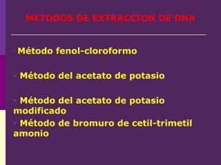 METODOS DE EXTRACCION DE DNA
• Método fenol-cloroformo
• Método del acetato de potasio
• Método del acetato de potasio
modificado
• Método de bromuro de cetil-trimetil
amonio
 