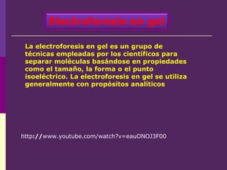 La electroforesis en gel es un grupo de
técnicas empleadas por los científicos para
separar moléculas basándose en propiedades
como el tamaño, la forma o el punto
isoeléctrico. La electroforesis en gel se utiliza
generalmente con propósitos analíticos
http://www.youtube.com/watch?v=eauONOJ3F00
Electroforesis en gel
 