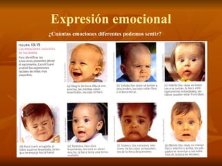 Expresión emocional
¿Cuántas emociones diferentes podemos sentir?
 