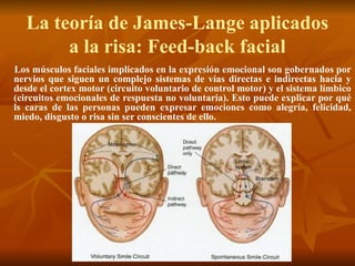 La teoría de James-Lange aplicados
a la risa: Feed-back facial
Los músculos faciales implicados en la expresión emocional son gobernados por
nervios que siguen un complejo sistemas de vías directas e indirectas hacia y
desde el cortex motor (circuito voluntario de control motor) y el sistema límbico
(circuitos emocionales de respuesta no voluntaria). Esto puede explicar por qué
ls caras de las personas pueden expresar emociones como alegría, felicidad,
miedo, disgusto o risa sin ser conscientes de ello.
 