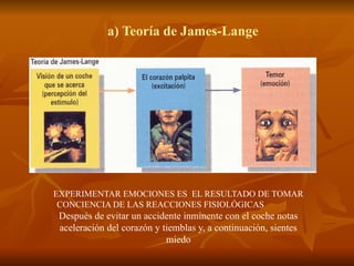 a) Teoría de James-Lange
EXPERIMENTAR EMOCIONES ES EL RESULTADO DE TOMAR
CONCIENCIA DE LAS REACCIONES FISIOLÓGICAS
Después de evitar un accidente inminente con el coche notas
aceleración del corazón y tiemblas y, a continuación, sientes
miedo
 