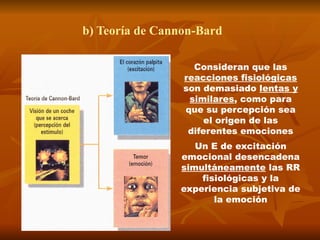 b) Teoría de Cannon-Bard
Consideran que las
reacciones fisiológicas
son demasiado lentas y
similares, como para
que su percepción sea
el origen de las
diferentes emociones
Un E de excitación
emocional desencadena
simultáneamente las RR
fisiológicas y la
experiencia subjetiva de
la emoción
 