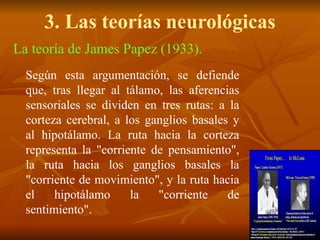 3. Las teorías neurológicas
La teoría de James Papez (1933).
Según esta argumentación, se defiende
que, tras llegar al tálamo, las aferencias
sensoriales se dividen en tres rutas: a la
corteza cerebral, a los ganglios basales y
al hipotálamo. La ruta hacia la corteza
representa la "corriente de pensamiento",
la ruta hacia los ganglios basales la
"corriente de movimiento", y la ruta hacia
el hipotálamo la "corriente de
sentimiento".
 