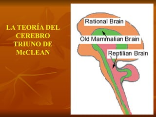LA TEORÍA DEL
CEREBRO
TRIUNO DE
McCLEAN
 