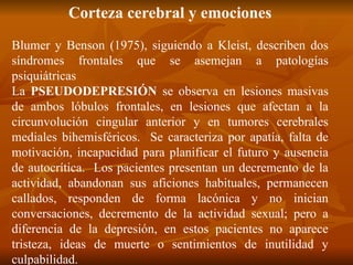 Corteza cerebral y emociones
Blumer y Benson (1975), siguiendo a Kleist, describen dos
síndromes frontales que se asemejan a patologías
psiquiátricas
La PSEUDODEPRESIÓN se observa en lesiones masivas
de ambos lóbulos frontales, en lesiones que afectan a la
circunvolución cingular anterior y en tumores cerebrales
mediales bihemisféricos. Se caracteriza por apatía, falta de
motivación, incapacidad para planificar el futuro y ausencia
de autocrítica. Los pacientes presentan un decremento de la
actividad, abandonan sus aficiones habituales, permanecen
callados, responden de forma lacónica y no inician
conversaciones, decremento de la actividad sexual; pero a
diferencia de la depresión, en estos pacientes no aparece
tristeza, ideas de muerte o sentimientos de inutilidad y
culpabilidad.
 