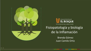 Fisiopatología y biología
de la Inflamación
Brenda Gómez
Juan Camilo Ortiz
 