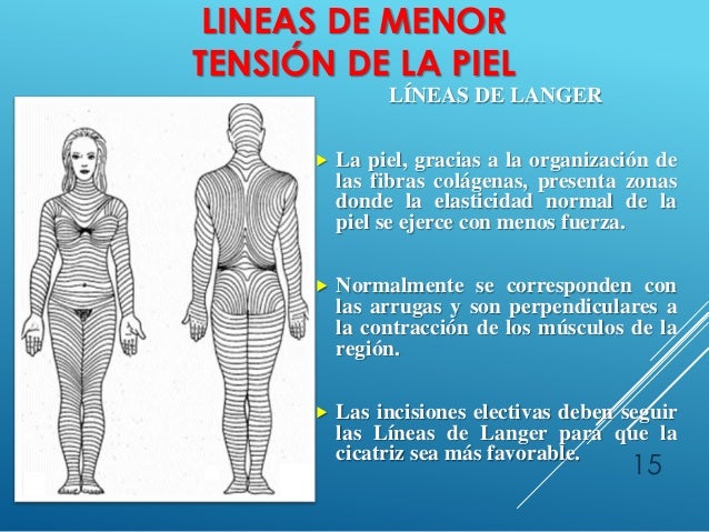 Biologia de las heridas