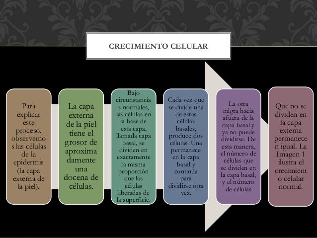 Biologia del desarrollo, diferencicación y crecimiento celular cancer