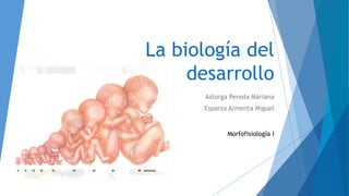 La biología del
desarrollo
Astorga Pereda Mariana
Esparza Armenta Miguel
Morfofisiología I
 
