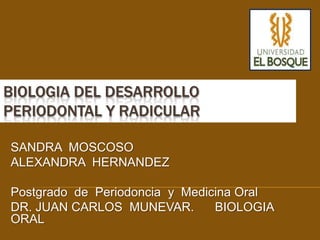 BIOLOGIA DEL DESARROLLO
PERIODONTAL Y RADICULAR

SANDRA MOSCOSO
ALEXANDRA HERNANDEZ

Postgrado de Periodoncia y Medicina Oral
DR. JUAN CARLOS MUNEVAR.        BIOLOGIA
ORAL
 